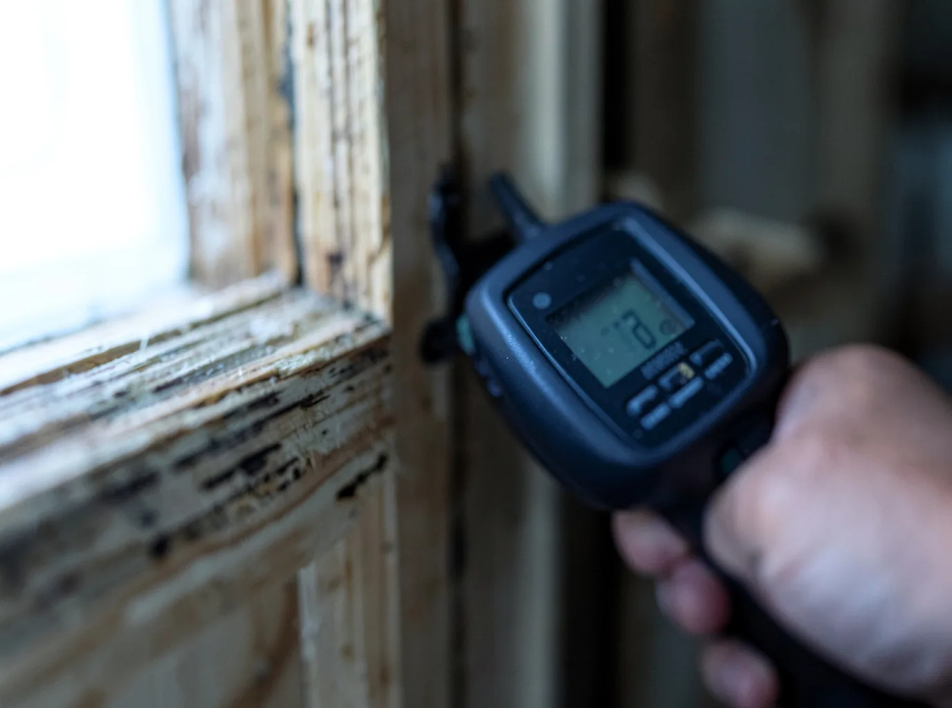 Moisture Inspection And Documentation in Glencliff, NH